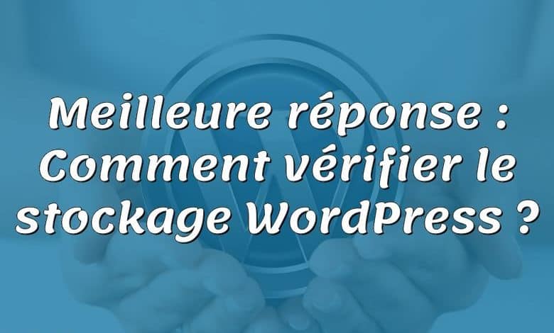 Meilleure réponse : Comment vérifier le stockage WordPress ?